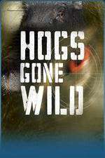 Watch Hogs Gone Wild 5movies