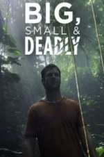 Watch Big, Small & Deadly 5movies