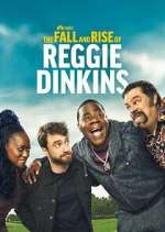 The Fall and Rise of Reggie Dinkins 5movies