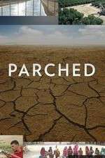 Watch Parched 5movies