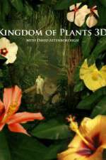 Watch Kingdom of Plants 3D 5movies