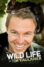 Watch The Wild Life of Tim Faulkner 5movies