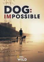 Watch Dog: Impossible 5movies