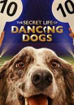 Watch The Secret Life of Dancing Dogs 5movies