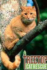 Watch Treetop Cat Rescue 5movies