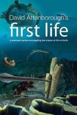 Watch David Attenborough's First Life 5movies