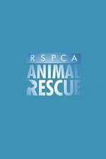 Watch RSPCA Animal Rescue 5movies