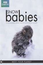 Watch Snow Babies 5movies