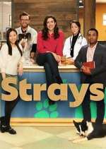 Watch Strays 5movies