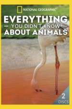 Watch Everything You Didnt Know About Animals 5movies