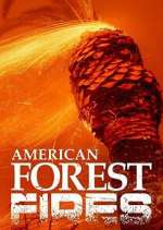 Watch American Forest Fires: The Untold Story 5movies