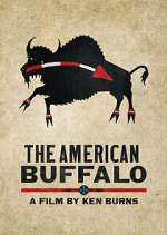 Watch The American Buffalo 5movies