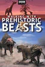 Watch Walking with Beasts 5movies
