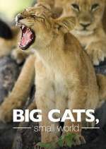 Watch Big Cats, Small World 5movies