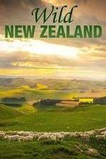 Watch Wild New Zealand 5movies